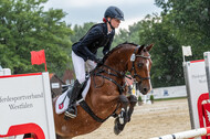 Goldene Schärpe 2021 - Ponys