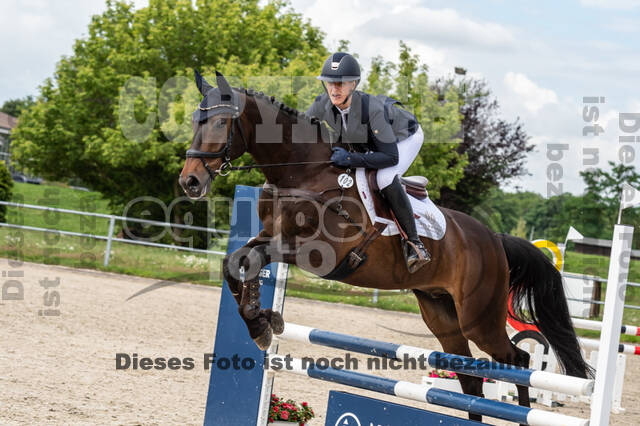 Late-Entry-Vielseitigkeit Langenfeld (06.+07.07.2020)