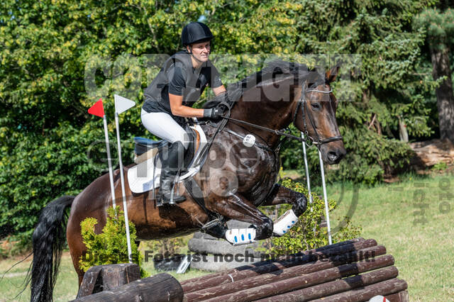 Late-Entry-Vielseitigkeit Langenfeld (11.+13./14.06.2020)