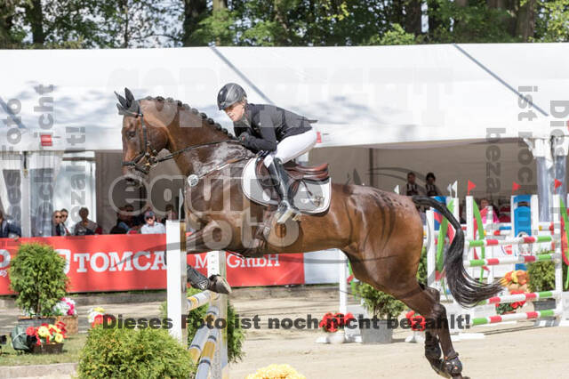 FEI European Championship Eventing 2017