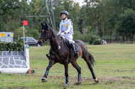 Vielseitigkeit RSV Wesel Obrighoven (26.+27.09.2020)
