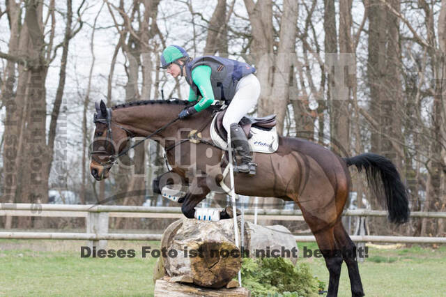 Jungpferdetag Hamminkeln