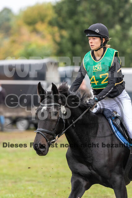 Vielseitigkeit RSV Wesel Obrighoven (26.+27.09.2020)