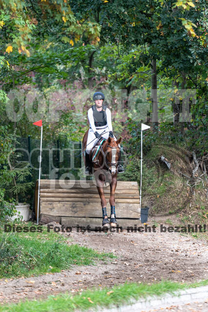 Goldene Schärpe 2020 - Pferde