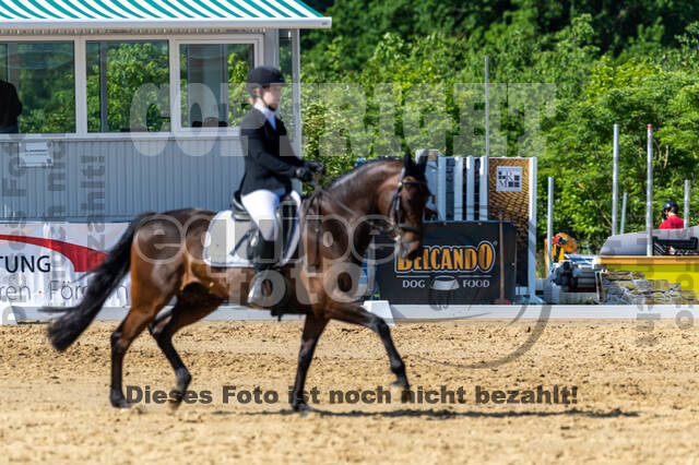 Westerstede Horse Trials 2021