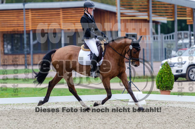 Deutsche Meisterschaft Vielseitigkeit (Luhmühlen)