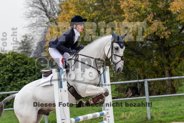 Goldene Schärpe 2020 - Pferde