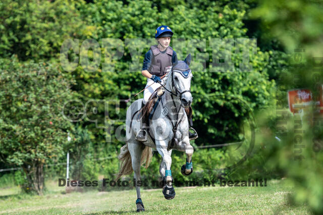 Goldene Schärpe 2021 - Ponys