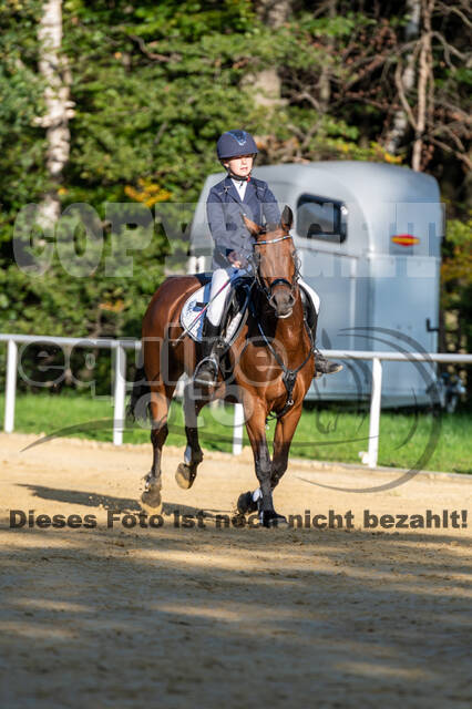 RFV Dinslaken-Hiesfeld (Herbstturnier)