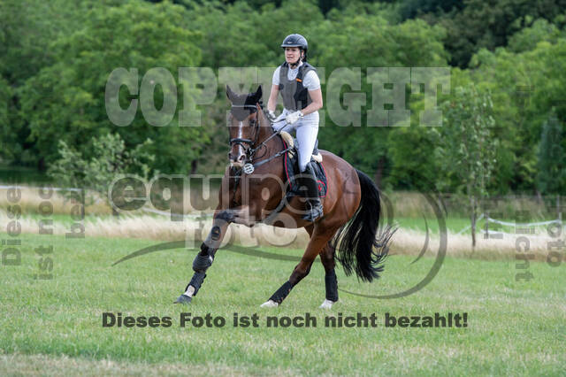 Bonn-Rodderberg Late-Entry-Vielseitigkeit (30.06.2020)