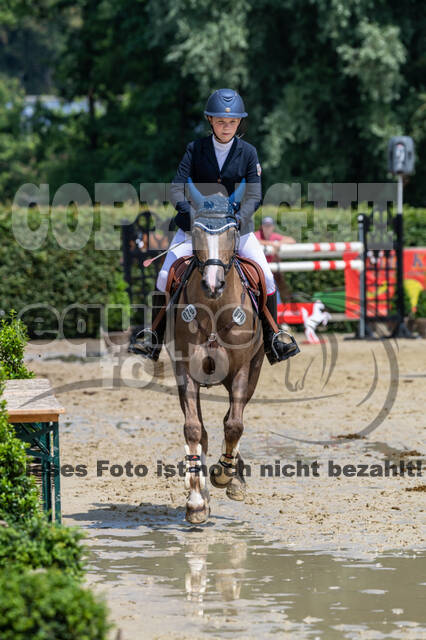 Goldene Schärpe 2021 - Ponys