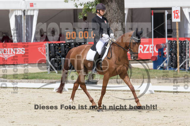 FEI European Championship Eventing 2017