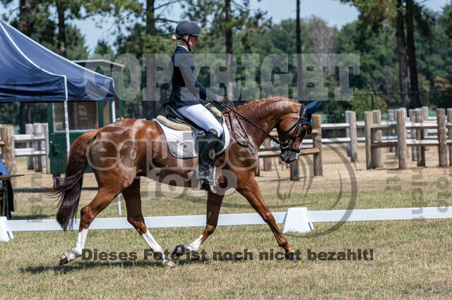 Kronenberg - De Peelbergen (August 2020)