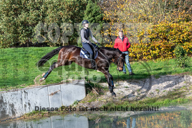 IGV Lehrgang der Sieger der Cups mit Frank Ostholt