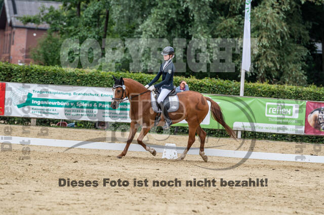 Goldene Schärpe 2021 - Ponys