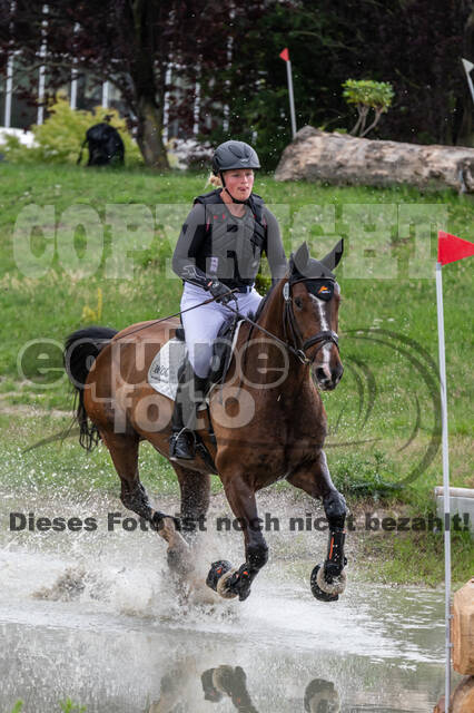 Late-Entry-Vielseitigkeit Langenfeld (06.+07.07.2020)