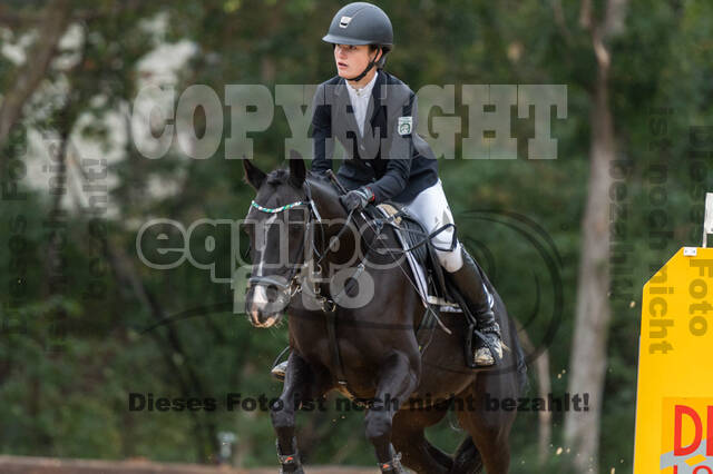 Vielseitigkeit RSV Wesel Obrighoven (26.+27.09.2020)