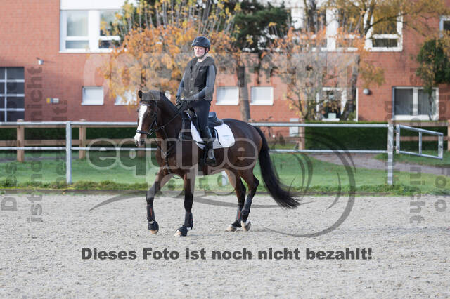 IGV Lehrgang der Sieger der Cups mit Frank Ostholt