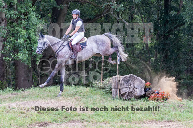 Late-Entry Vielseitigkeit Hamminkeln/Wesel (01.+02.08.2020)