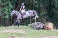 Late-Entry Vielseitigkeit Hamminkeln/Wesel (01.+02.08.2020)