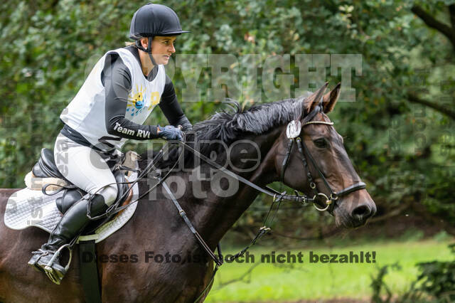 Vielseitigkeit RSV Wesel Obrighoven (26.+27.09.2020)