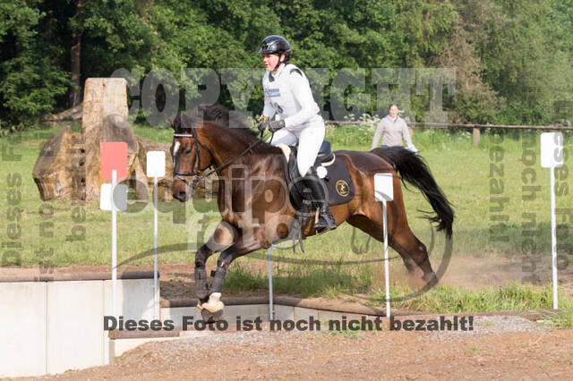 Vielseitigkeitsturnier ZRFV von Lützow Hamminkeln
