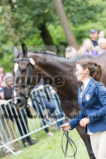 FEI European Championship