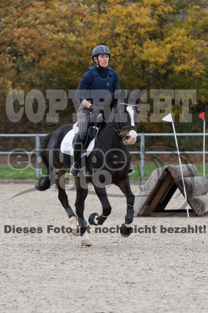 IGV Lehrgang der Sieger der Cups mit Frank Ostholt