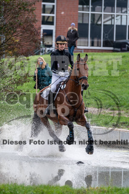 Goldene Schärpe 2020 - Pferde