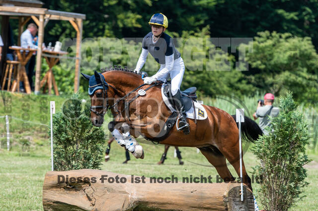 Goldene Schärpe 2021 - Ponys