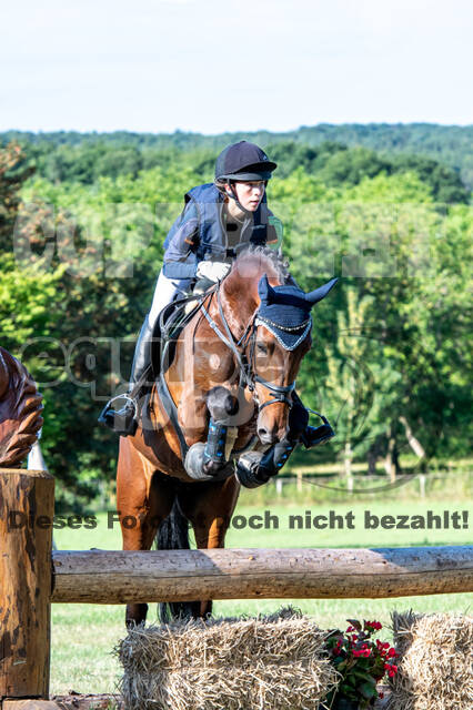 Bonn-Rodderberg Late-Entry-Vielseitigkeit (30.06.2020)