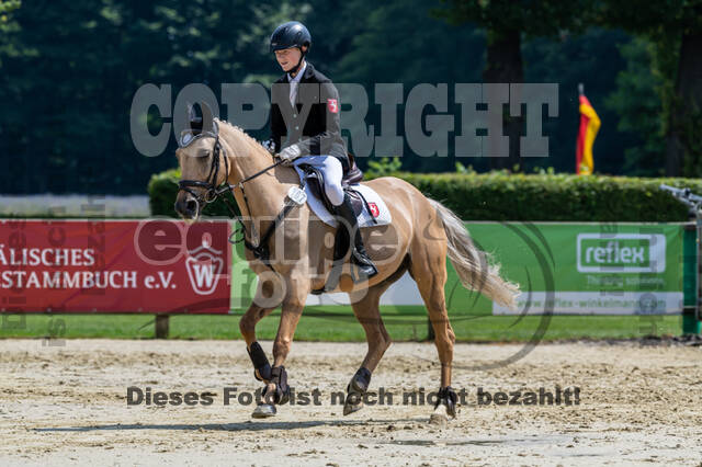 Goldene Schärpe 2021 - Ponys