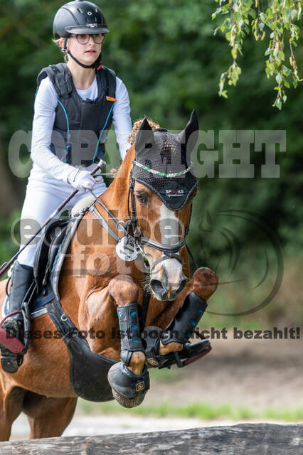 Late-Entry-Vielseitigkeit Langenfeld (06.+07.07.2020)