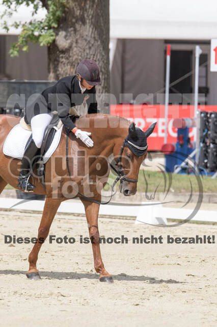 FEI European Championship Eventing 2017