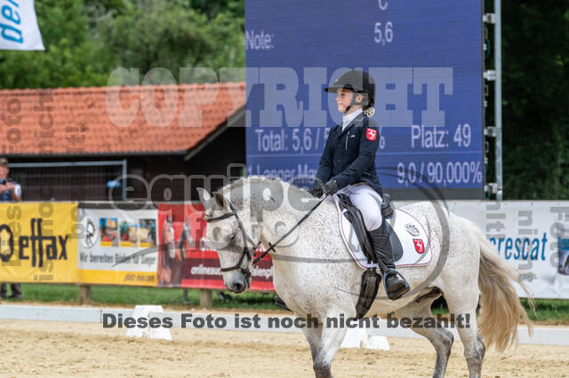 Goldene Schärpe 2021 - Ponys