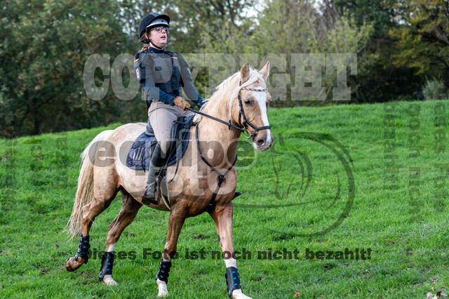 IGV Lehrgang der Sieger der Cups mit Frank Ostholt