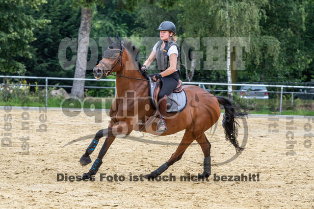 Hunter Geländetraining 10.07.2021 (Sonsbeck)