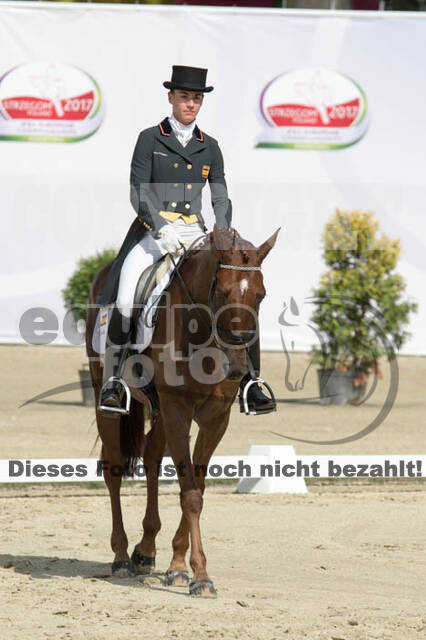 FEI European Championship Eventing 2017