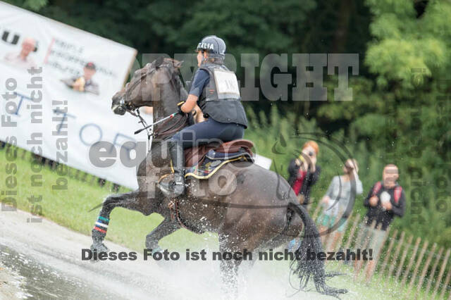 FEI European Championship