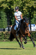 Kronenberg - De Peelbergen (August 2020)