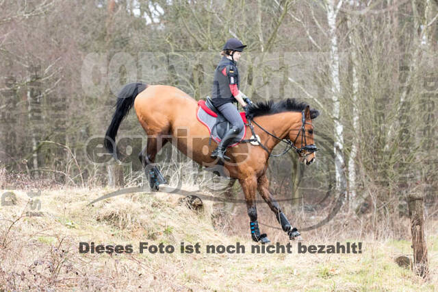 Geländetraining RSV St. Hubertus Wesel Obrighoven