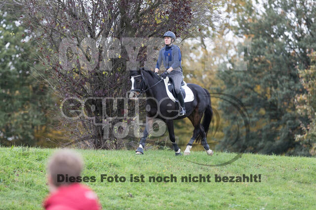 IGV Lehrgang der Sieger der Cups mit Frank Ostholt