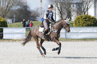 Eventing Langenfeld 2018