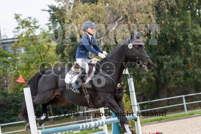 Reiter Schleswig-Holstein