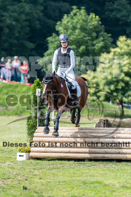 Goldene Schärpe 2021 - Ponys