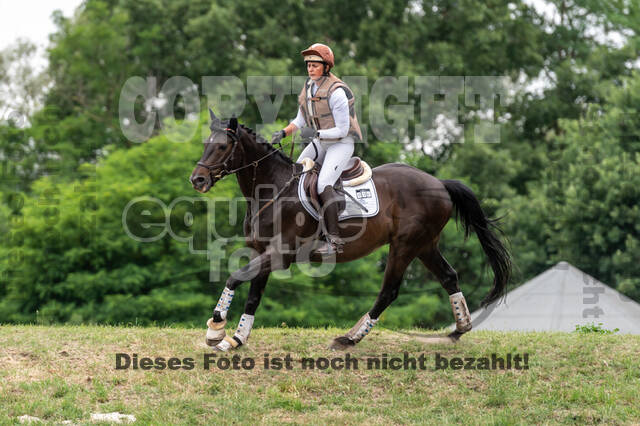 Late-Entry-Vielseitigkeit Langenfeld (11.+13./14.06.2020)