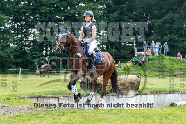 Goldene Schärpe 2021 - Ponys