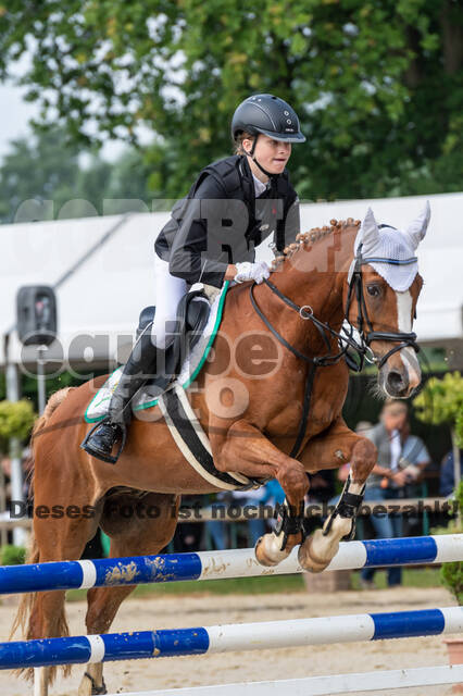 Goldene Schärpe 2021 - Ponys