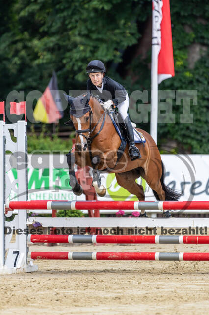 Goldene Schärpe 2021 - Ponys
