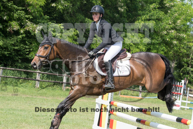 Vielseitigkeitsturnier ZRuFV von Lützow Hamminkeln